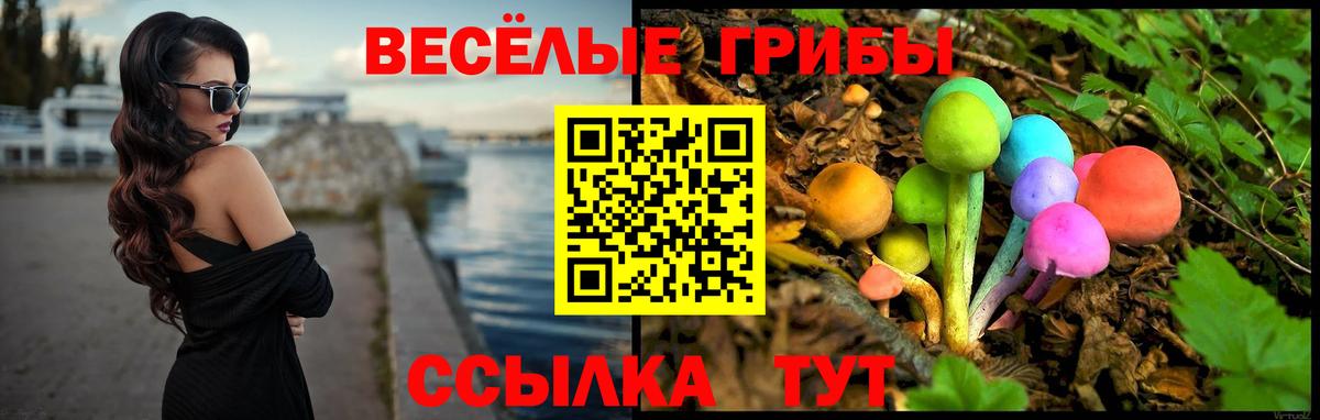 как найти наркотики  Псилоцибиновые грибы ЛСД  Вход с VPN  Тосно 
