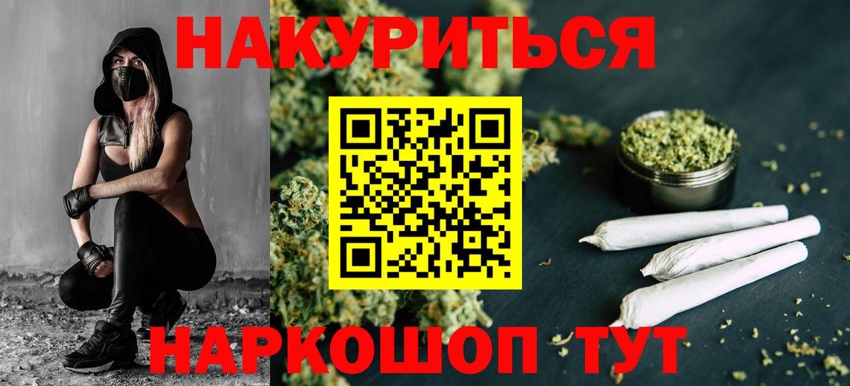 Канабис планчик  Вход с VPN  Тосно  Канабис сатива 